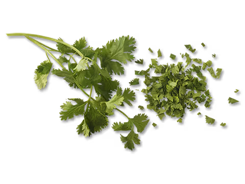 Cliantro